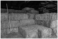 Hay in barn, Ardenwood farm, Fremont. California, USA (black and white)