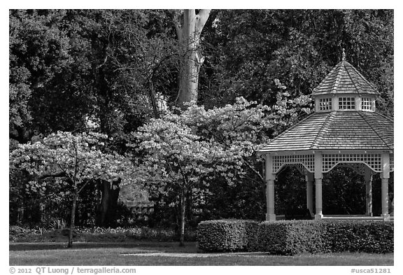 Gazebo and blossoming trees, Ardenwood historic farm regional preserve, Fremont. California, USA