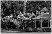 Gazebo and blossoming trees, Ardenwood historic farm regional preserve, Fremont. California, USA (black and white)