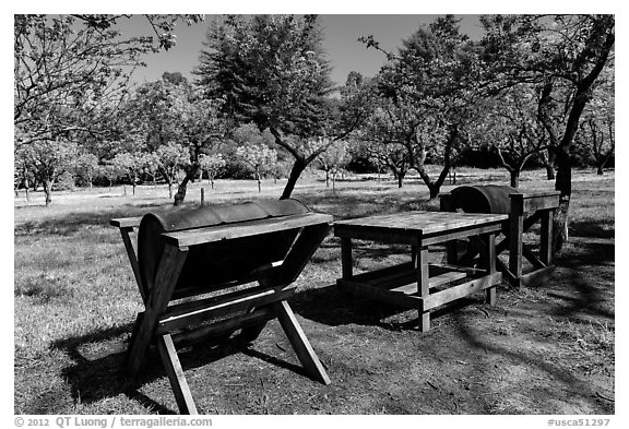 John Muir farm estate, John Muir National Historic Site. Martinez, California, USA (black and white)
