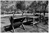John Muir farm estate, John Muir National Historic Site. Martinez, California, USA (black and white)