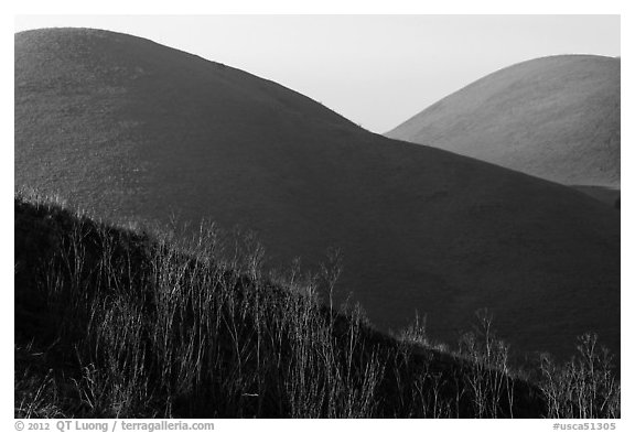 Mt Wanda. Martinez, California, USA (black and white)