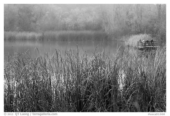 Jordan Pond, Garin Regional Park. California, USA (black and white)