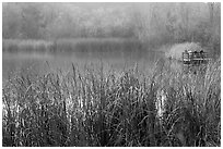 Jordan Pond, Garin Regional Park. California, USA (black and white)