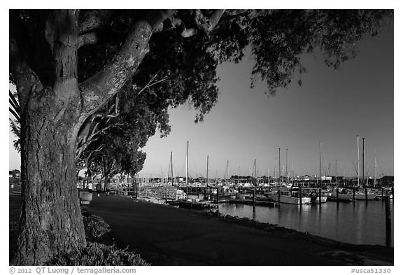 Marina at sunset, Vallejo. San Pablo Bay, California, USA (black and white)