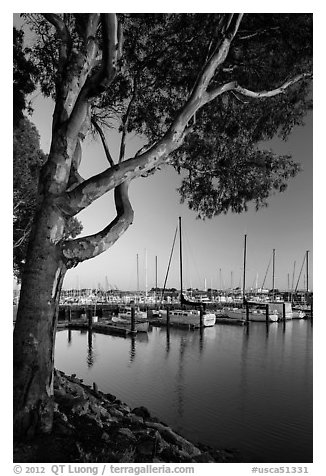 Municipal marina, Vallejo. San Pablo Bay, California, USA