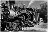 Steam train, Roaring Camp Railroads, Felton. California, USA (black and white)