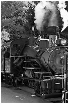 Steam locomotive, Roaring Camp Train, Felton. California, USA (black and white)