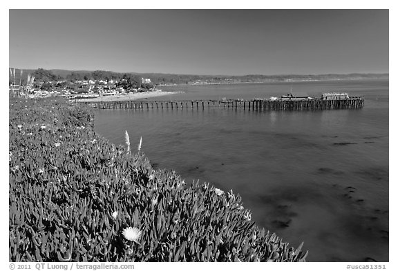 Iceplant-coverd buff and pier. Capitola, California, USA (black and white)