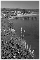 Pier and village. Capitola, California, USA ( black and white)