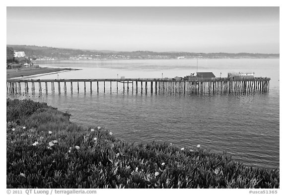 Capitola fishing wharf at sunset. Capitola, California, USA (black and white)