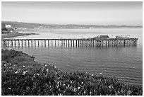 Capitola fishing wharf at sunset. Capitola, California, USA (black and white)