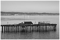 Capitola pier at sunset. Capitola, California, USA ( black and white)