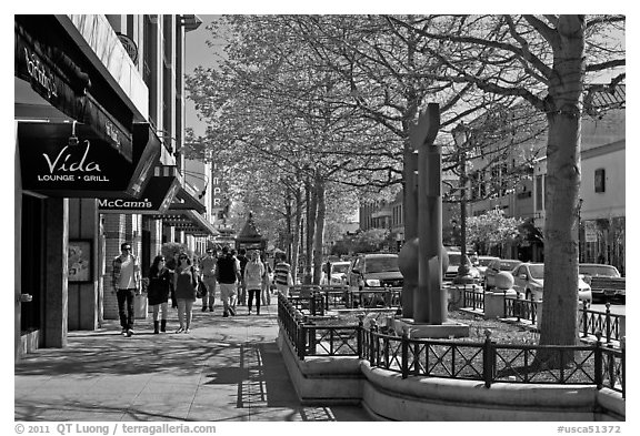 Spring on Pacific Avenue. Santa Cruz, California, USA (black and white)