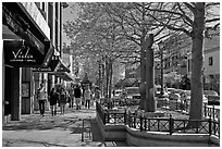 Spring on Pacific Avenue. Santa Cruz, California, USA ( black and white)