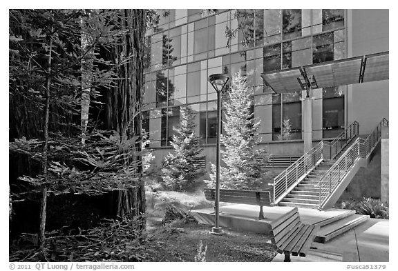 Redwood trees and modern building, UCSC. Santa Cruz, California, USA