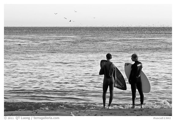 Surfers holding boards, open ocean, and birds. Santa Cruz, California, USA