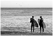 Surfers holding boards, open ocean, and birds. Santa Cruz, California, USA (black and white)
