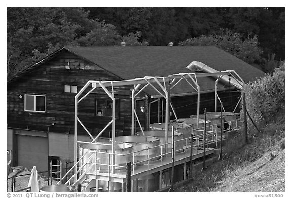 Processing tanks, Savannah-Chanelle winery, Santa Cruz Mountains. California, USA