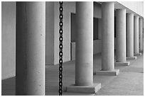 Columns in Palm Courtyard, Schwab Residential Center. Stanford University, California, USA (black and white)
