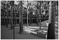 Palm Courtyard, Schwab Residential Center. Stanford University, California, USA (black and white)