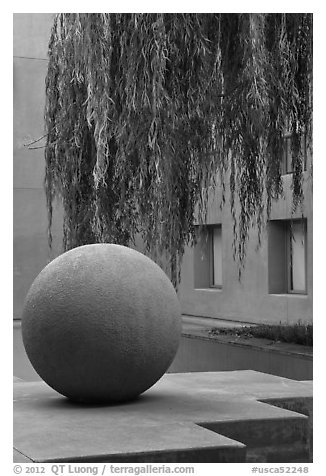Sphere and willow in courtyard, Schwab Residential Center. Stanford University, California, USA