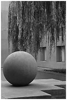 Sphere and willow in courtyard, Schwab Residential Center. Stanford University, California, USA (black and white)