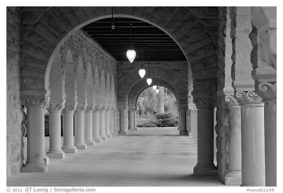 Main Quad hallway. Stanford University, California, USA (black and white)