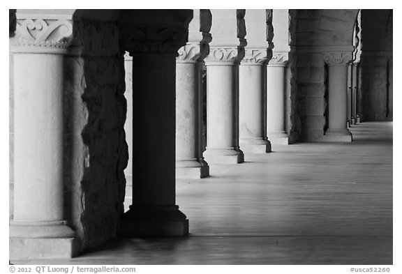 Columns in Main Quad. Stanford University, California, USA (black and white)