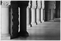 Columns in Main Quad. Stanford University, California, USA (black and white)