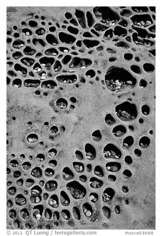 Taffoni rock with holes filled by pebbles, Bean Hollow State Beach. San Mateo County, California, USA (black and white)