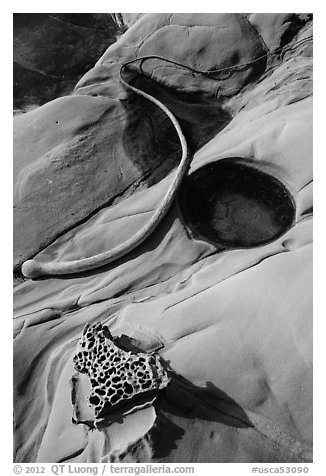 Taffoni and kelp, Bean Hollow State Beach. San Mateo County, California, USA (black and white)