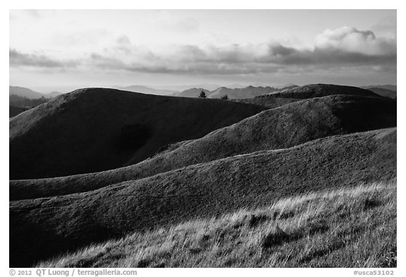 Hills, Mt Tamalpais State Park. California, USA (black and white)