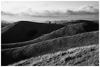 Hills, Mt Tamalpais State Park. California, USA (black and white)