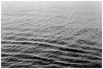 Ocean water with reflections, Catalina. California, USA (black and white)