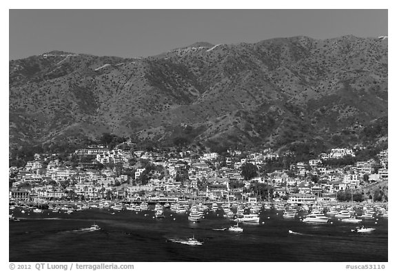 Avalon and mountains seen from Descanso Bay, Catalina. California, USA (black and white)