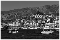 Avalon seen from harbor, Santa Catalina Island. California, USA (black and white)