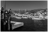 Fishing from Avalon pier, Santa Catalina Island. California, USA ( black and white)