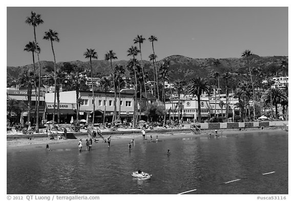 Avalon Bay beach, Santa Catalina Island. California, USA (black and white)