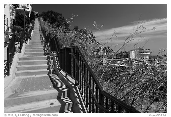 Stairs above harbor, Avalon Bay, Santa Catalina Island. California, USA (black and white)