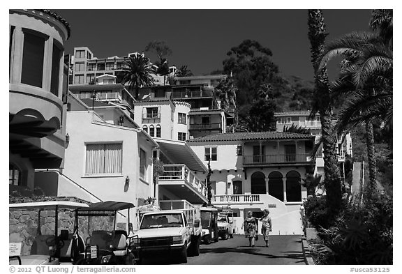 Street with hillside houses looming above, Avalon, Catalina. California, USA (black and white)