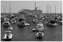 Yachts and cruise chip, Avalon Bay, Santa Catalina Island. California, USA (black and white)
