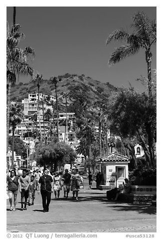 Street near waterfront, Avalon Bay, Santa Catalina Island. California, USA (black and white)