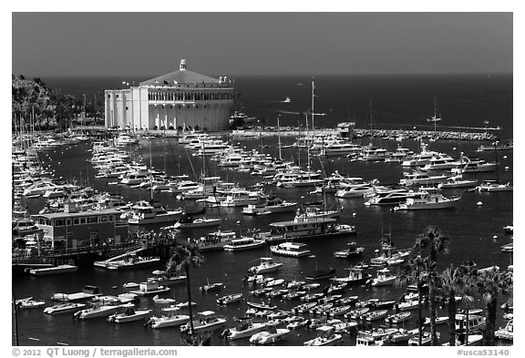 Harbor and casino from above, Avalon Bay, Santa Catalina Island. California, USA (black and white)