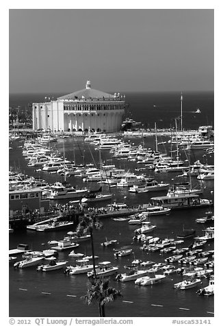 Catalina Casino and harbor, Avalon Bay, Santa Catalina Island. California, USA (black and white)