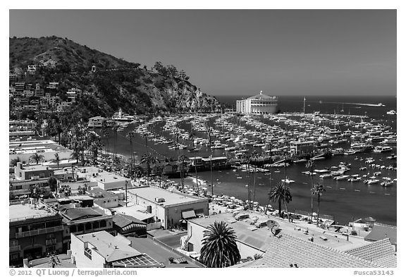 Avalon Bay from above, Avalon Bay, Catalina Island. California, USA (black and white)