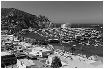 Avalon Bay from above, Avalon Bay, Catalina Island. California, USA ( black and white)