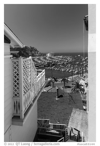 Harbor seen from between hillside houses, Avalon, Catalina. California, USA (black and white)