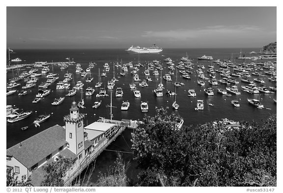 Avalon harbor from above, Avalon Bay, Catalina Island. California, USA (black and white)