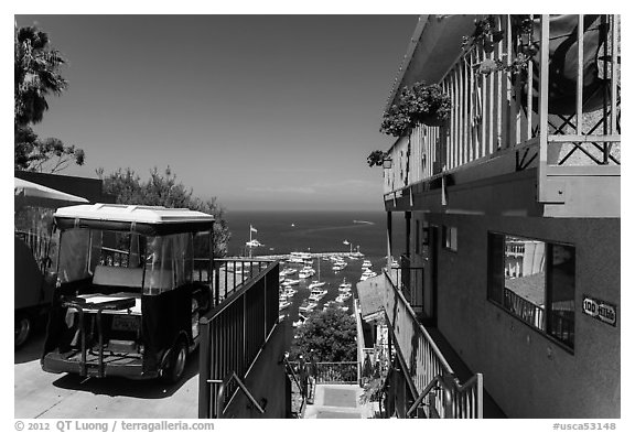 House and golf cart overlooking harbor, Avalon, Santa Catalina Island. California, USA